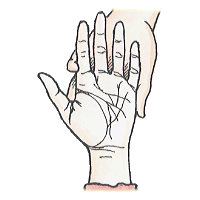 Palm Readings